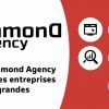 Comment Diamond Agency aide les petites entreprises à devenir des grandes marques